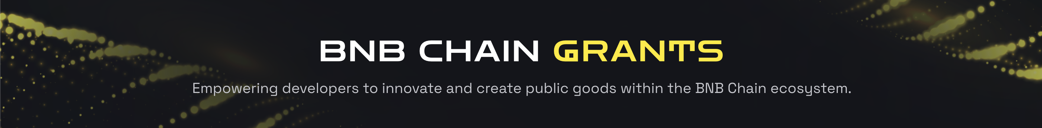 BNB Chain Grants cover